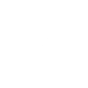 Handguns