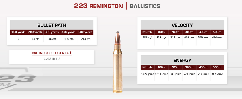 Fiocchi 223REM 55GR Soft Point 50 Pack