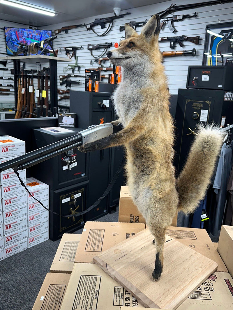 "The Foxes Fight Back" — Great for the Man Cave