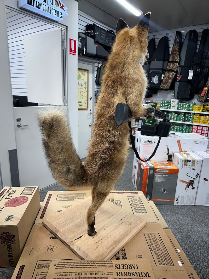 "The Foxes Fight Back" — Great for the Man Cave