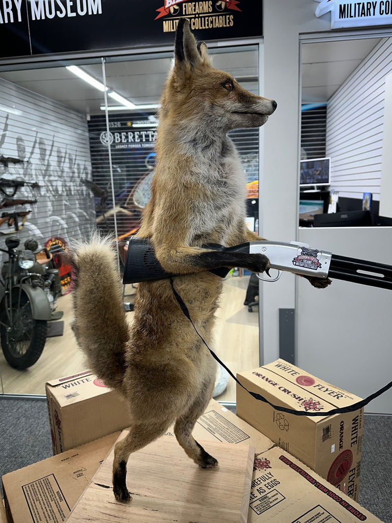"The Foxes Fight Back" — Great for the Man Cave