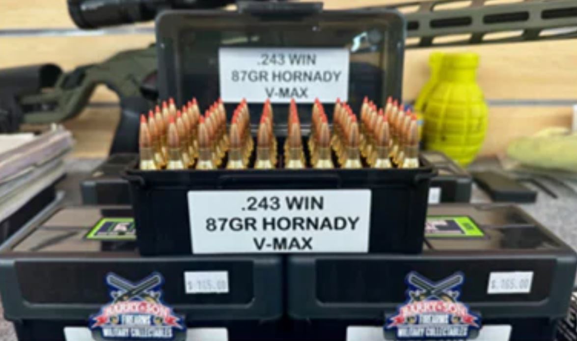 ADI .243 WIN 87gr Hornady V-Max Bullets plus BONUS ammo case