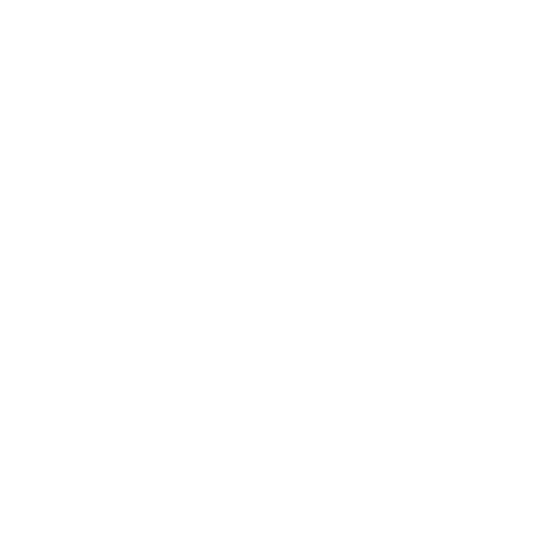 Bergara logo