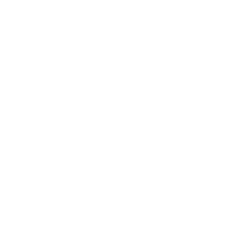 Dynamic Defence logo