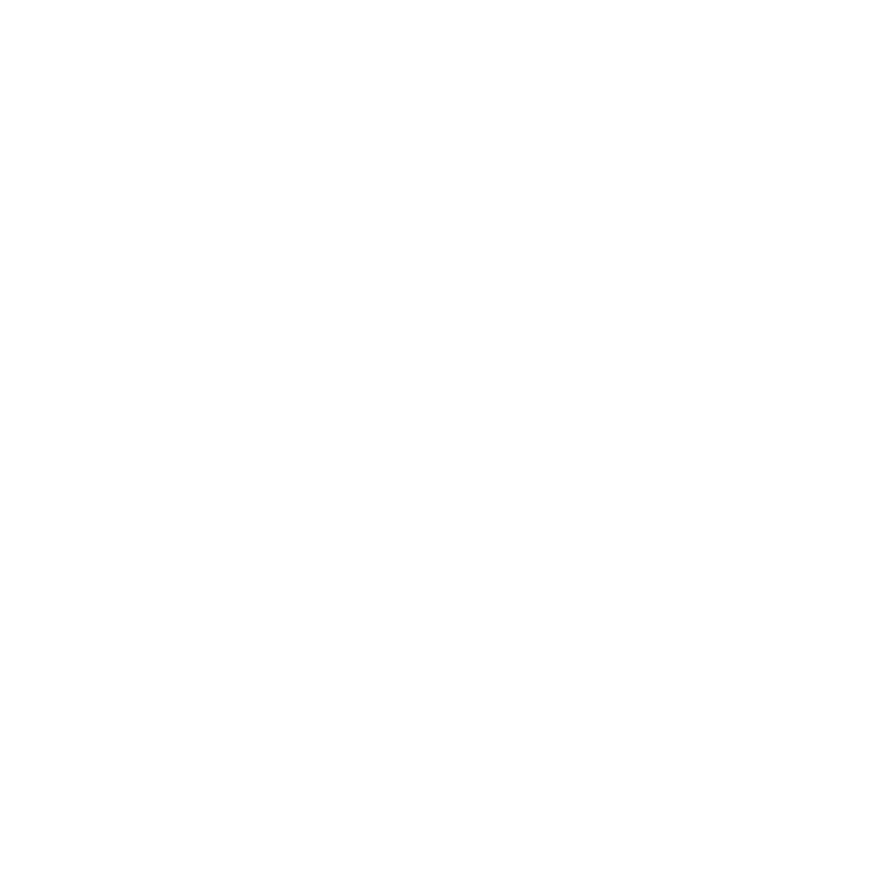Lee Precision logo