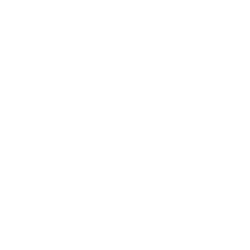 Savage logo