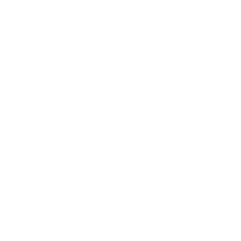Speer logo