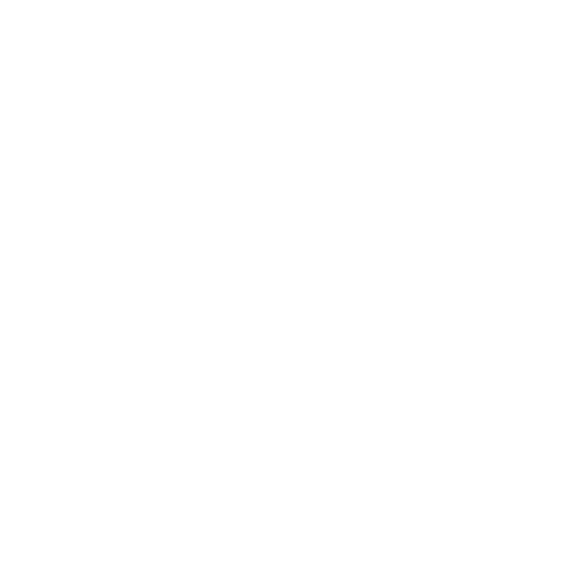 Vortex Optics logo